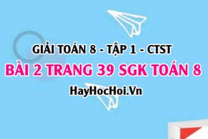 Giải bài 2 trang 39 Toán 8 Tập 1 SGK Chân trời sáng tạo